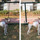 Preset para Lightroom Jasmine - Bee Mine