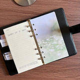 Dashboard DUO | Magic in the Ordinary