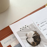 Washi tape Dots