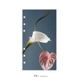 Dashboard DUO | Magic in the Ordinary