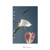 Dashboard DUO | Magic in the Ordinary