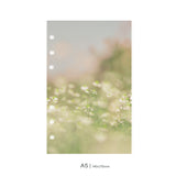 Dashboard DUO | Magic in the Ordinary