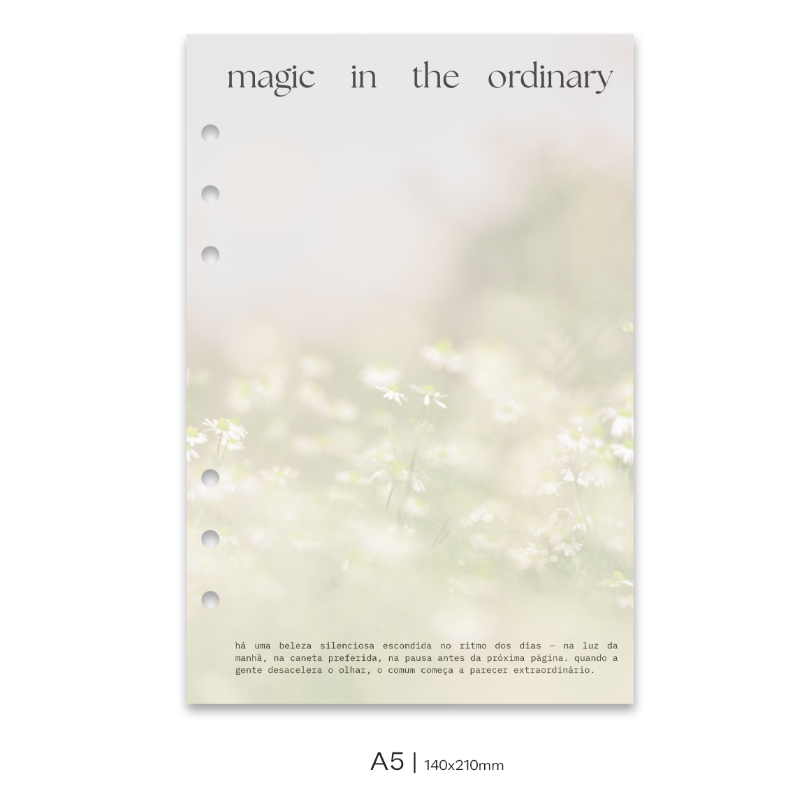 Dashboard DUO | Magic in the Ordinary