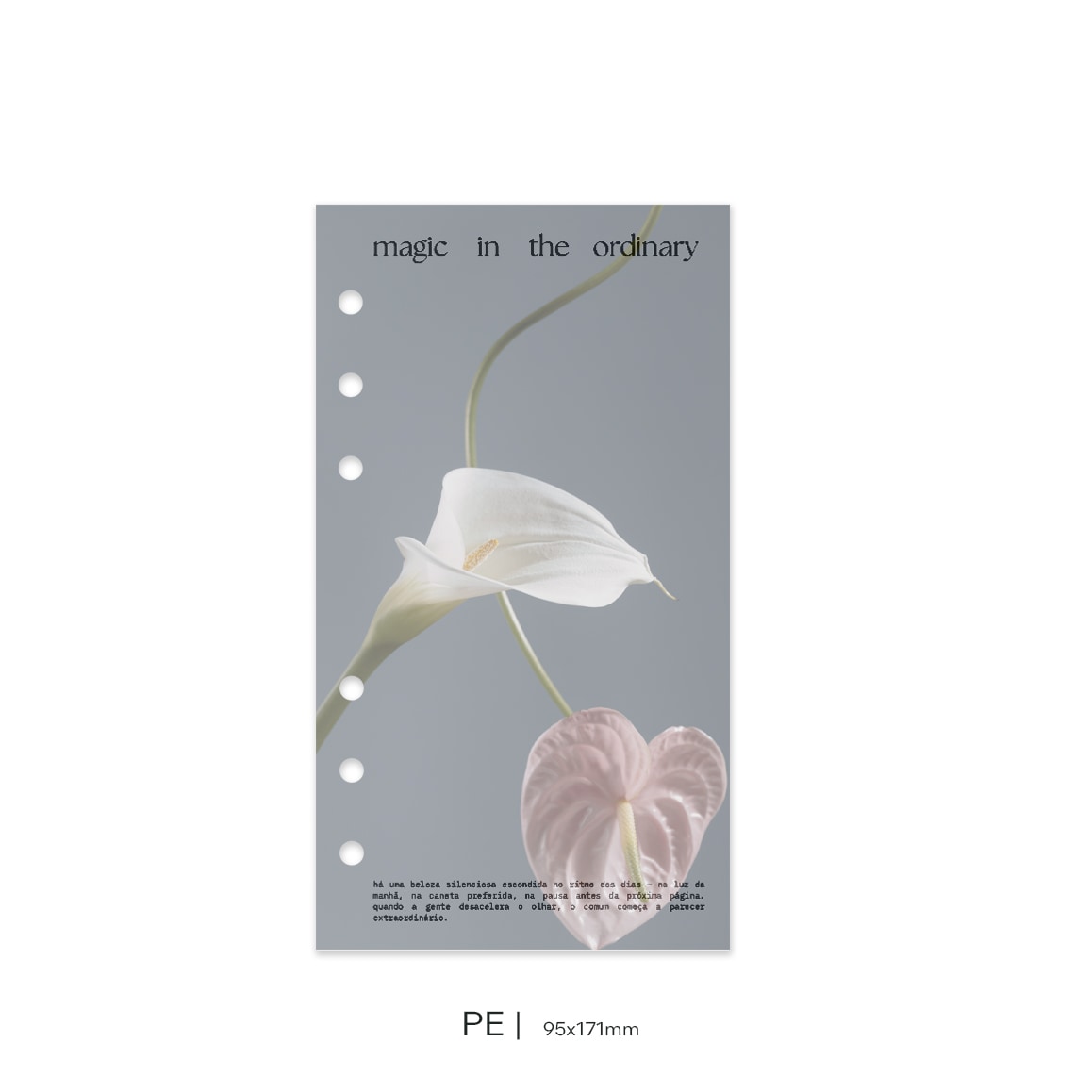 Dashboard DUO | Magic in the Ordinary