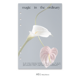 Dashboard DUO | Magic in the Ordinary
