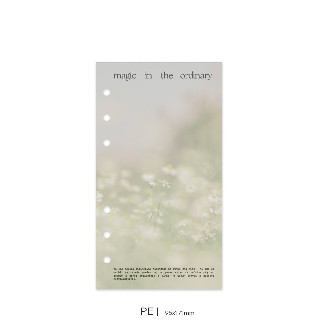 Dashboard DUO | Magic in the Ordinary